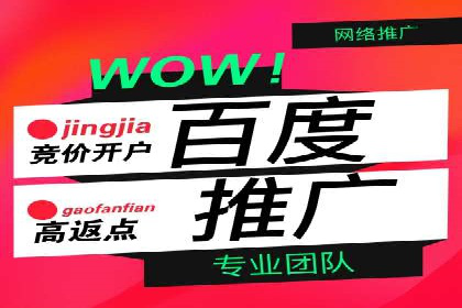 百度推广成功案例：关键词排名快速提升
